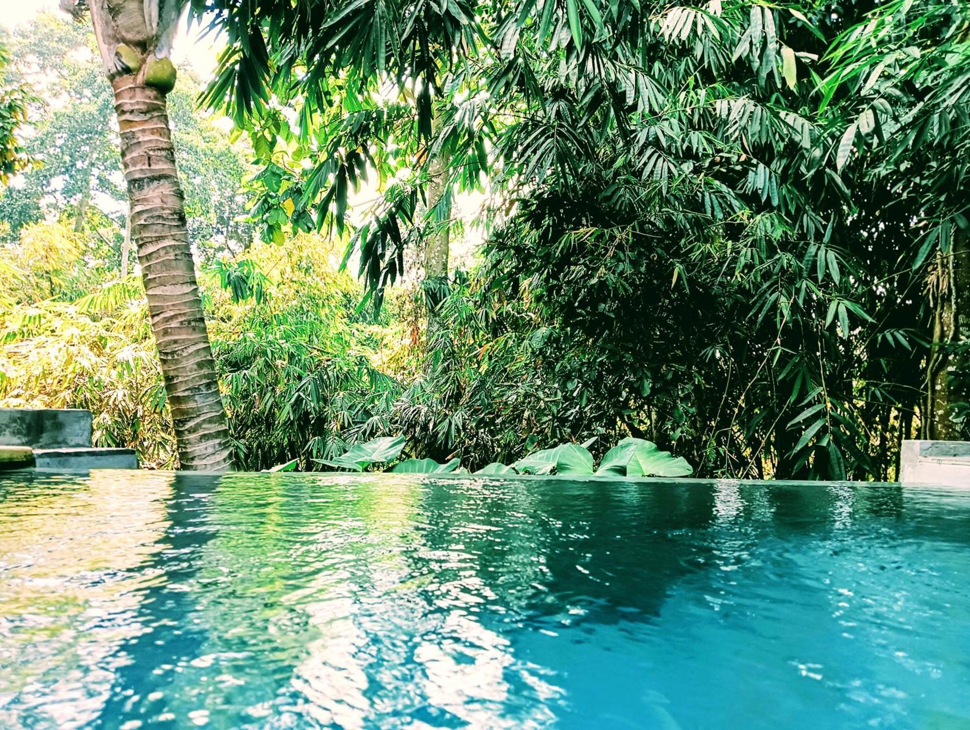 מלון אובוד Ngesil Private Joglo & Pool מראה חיצוני תמונה
